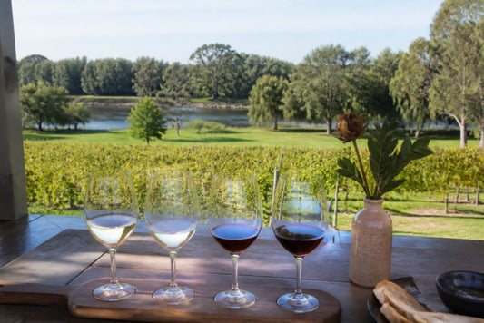 Swan Valley Wine Tasting Guide 2026: Cellar Doors & Tours